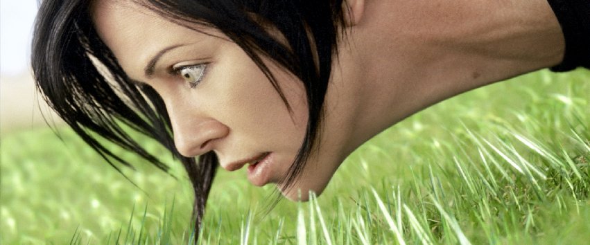 Фото - Эон Флакс: 851x354 / 61 Кб