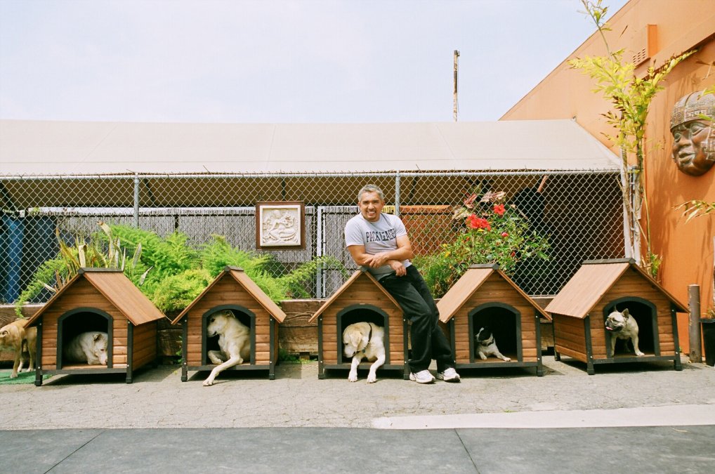 Фото - Переводчик с собачьего: 1018x675 / 162 Кб