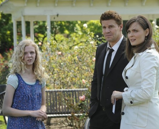 Фото - Кости: 527x425 / 53 Кб