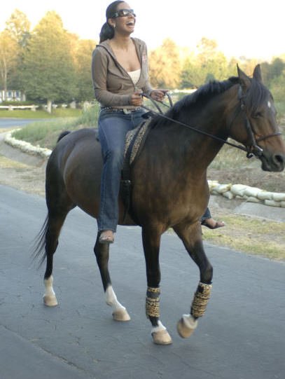 Фото - Настоящие домохозяйки округа Ориндж: 407x541 / 36 Кб