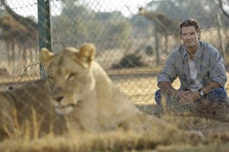 Фото - Дикая жизнь: 322x214 / 19 Кб