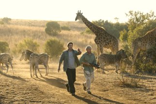 Фото - Дикая жизнь: 322x214 / 22 Кб