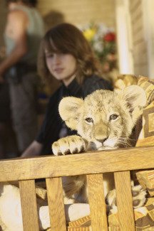 Фото - Дикая жизнь: 216x325 / 19 Кб