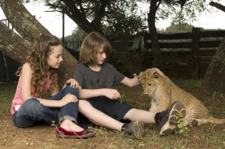 Фото - Дикая жизнь: 322x214 / 25 Кб