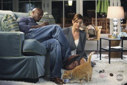 Фото - Частная практика: 427x285 / 31 Кб