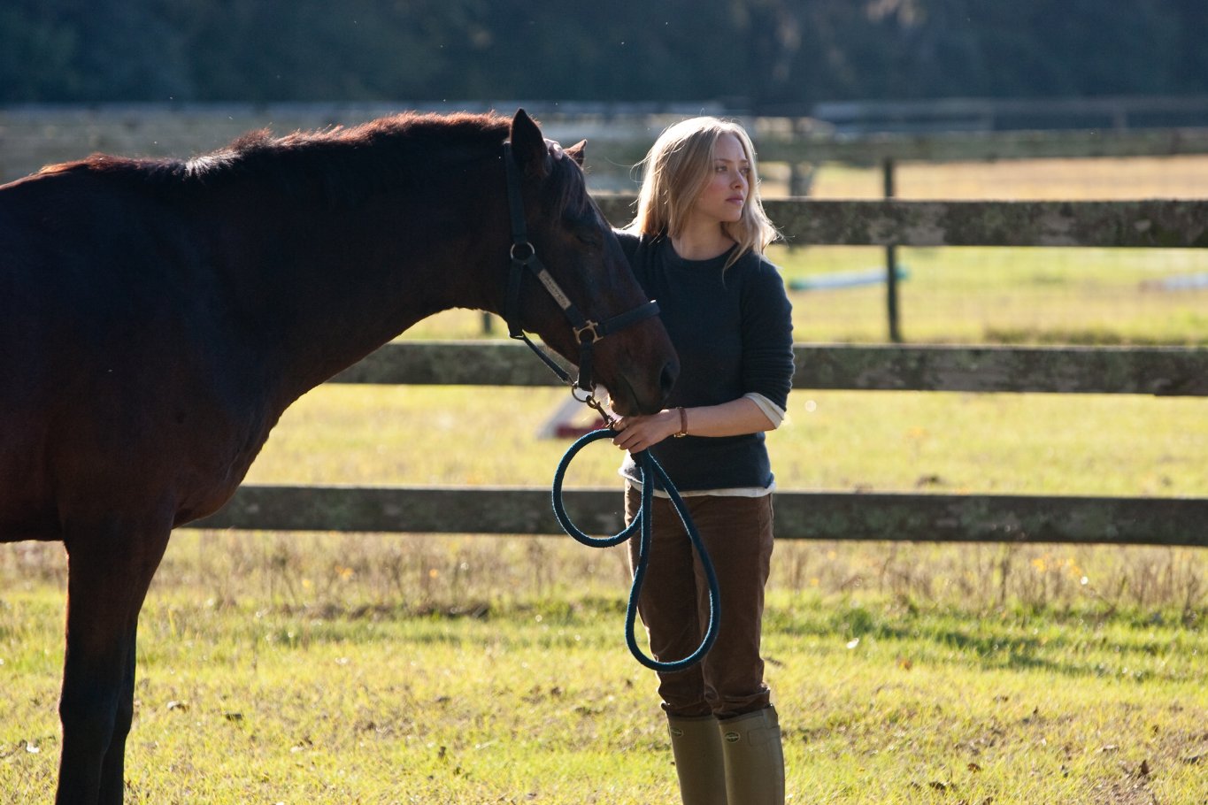 Фото - Дорогой Джон: 1365x910 / 186 Кб