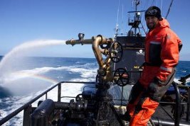 Фото - Китовые войны: 267x178 / 15 Кб