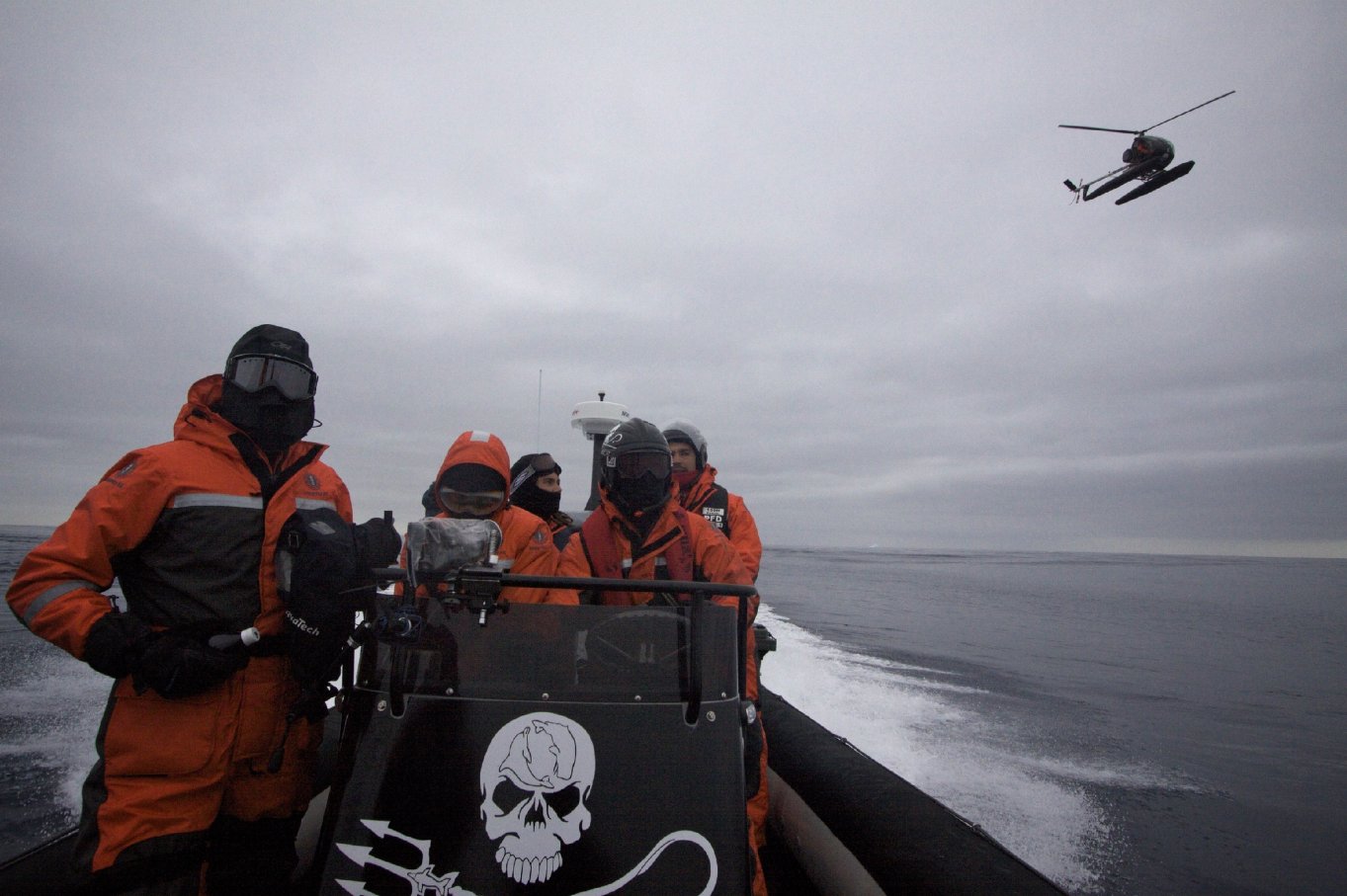 Фото - Китовые войны: 1363x907 / 158 Кб