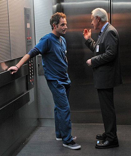 Фото - Медицинское Майами: 419x500 / 45 Кб