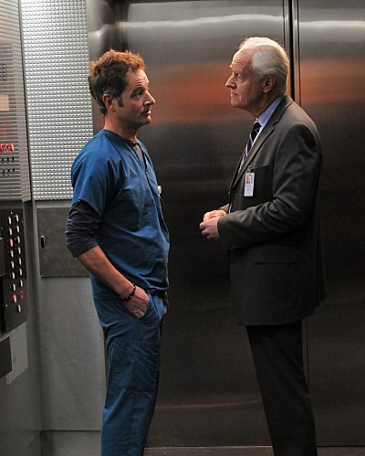 Фото - Медицинское Майами: 400x499 / 39 Кб