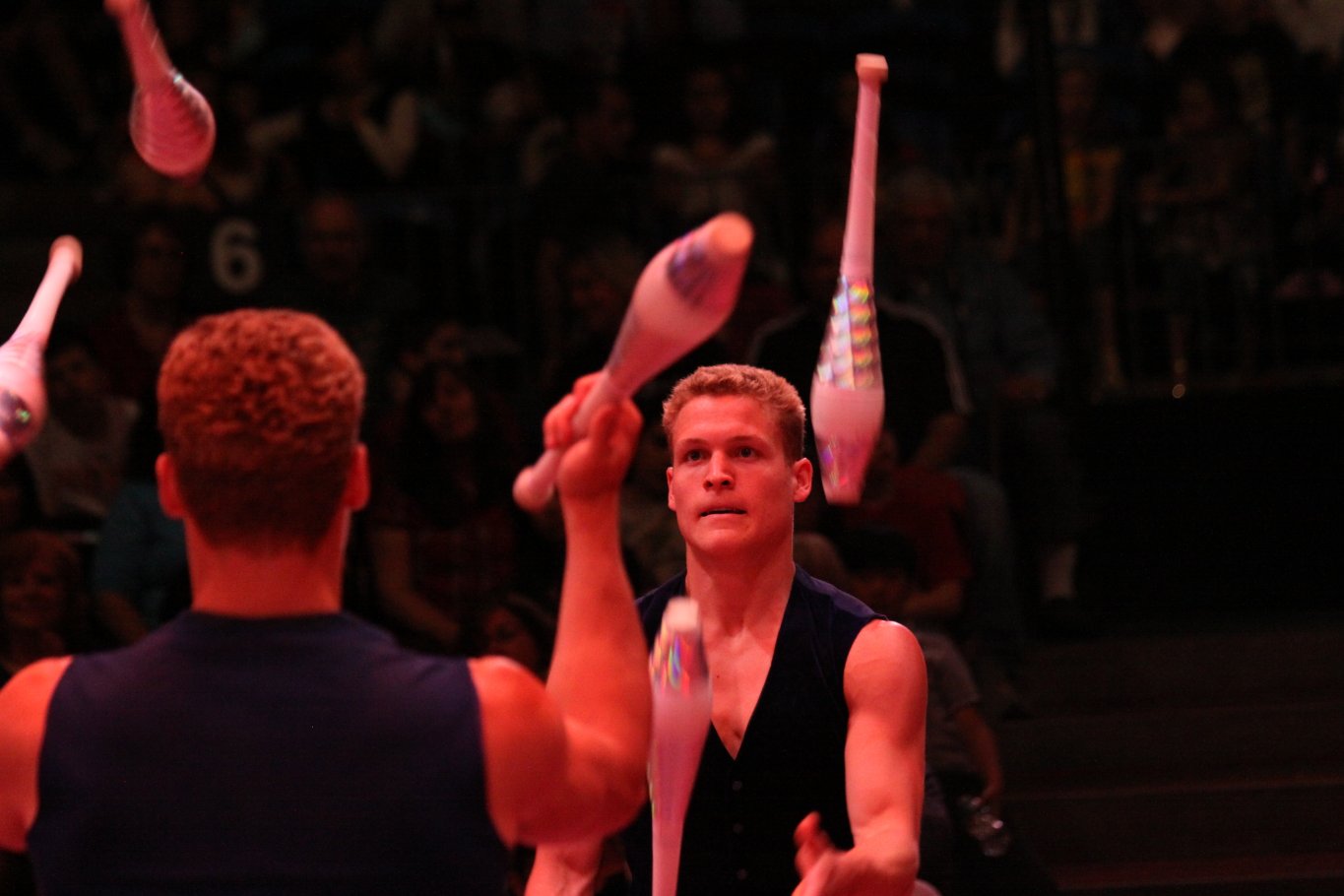 Фото - Цирк: 1365x910 / 112 Кб