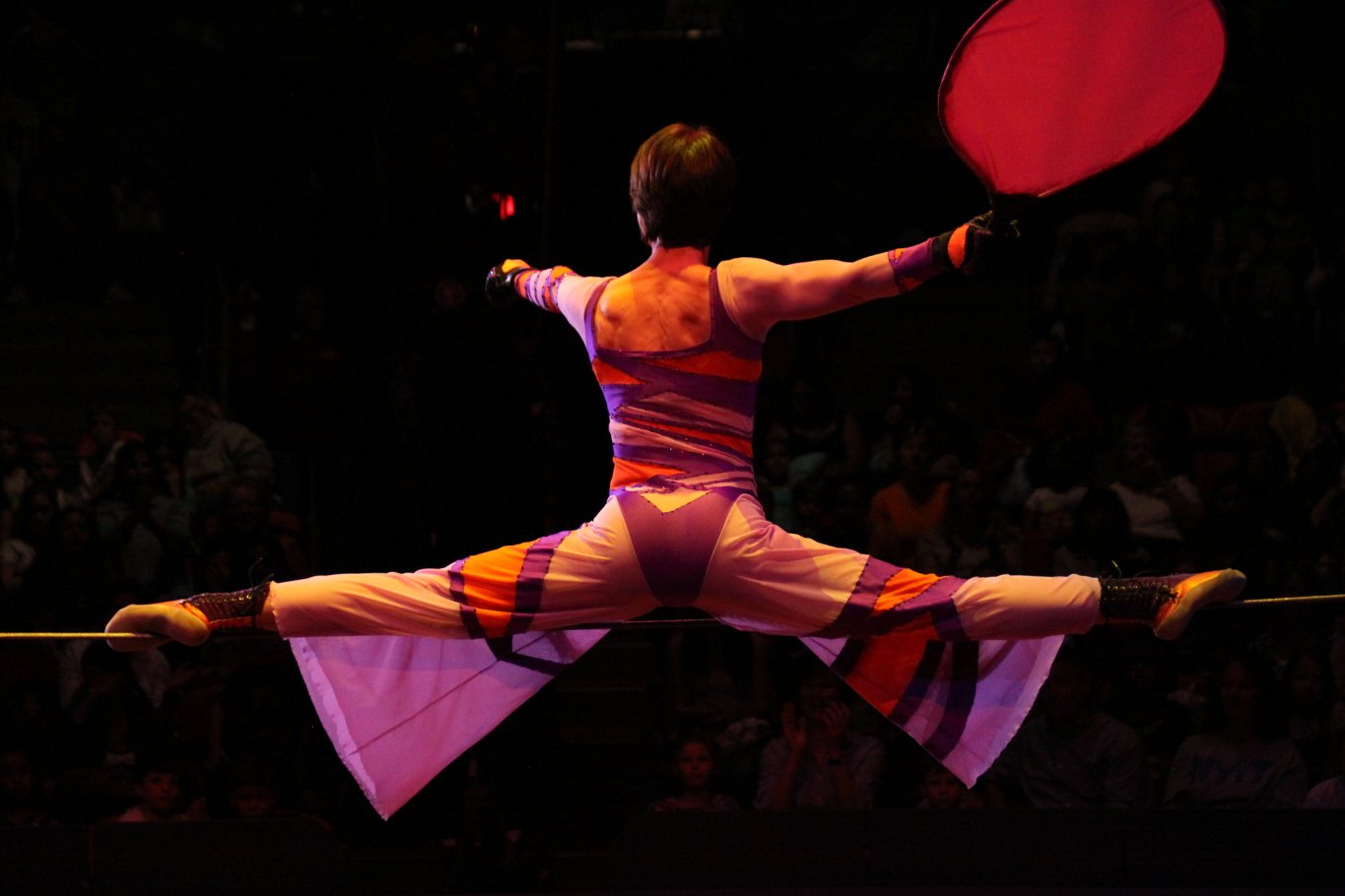 Фото - Цирк: 1365x910 / 105 Кб