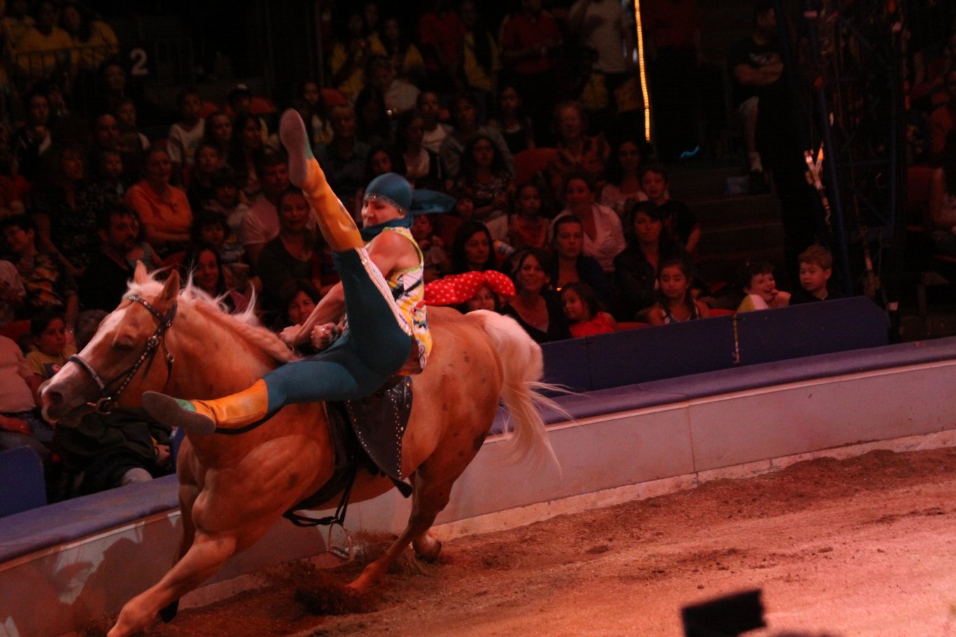 Фото - Цирк: 1365x910 / 167 Кб