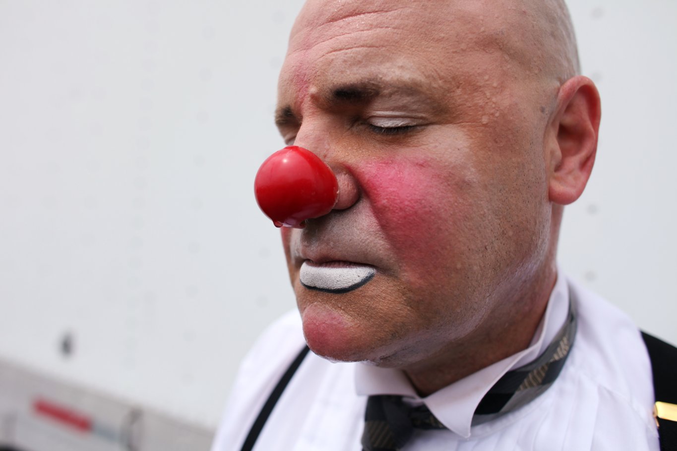 Фото - Цирк: 1365x910 / 105 Кб