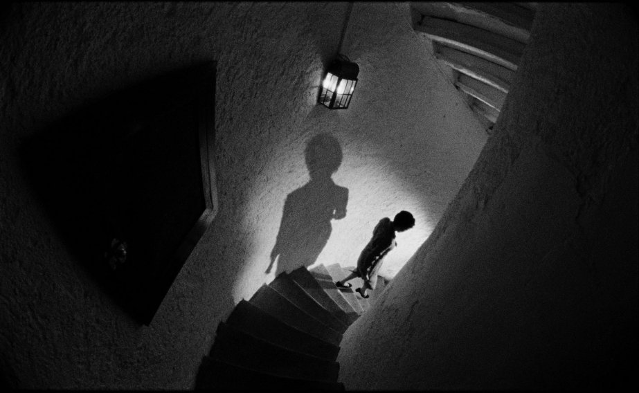 Фото - Lo más importante de la vida es no haber muerto: 923x568 / 74 Кб