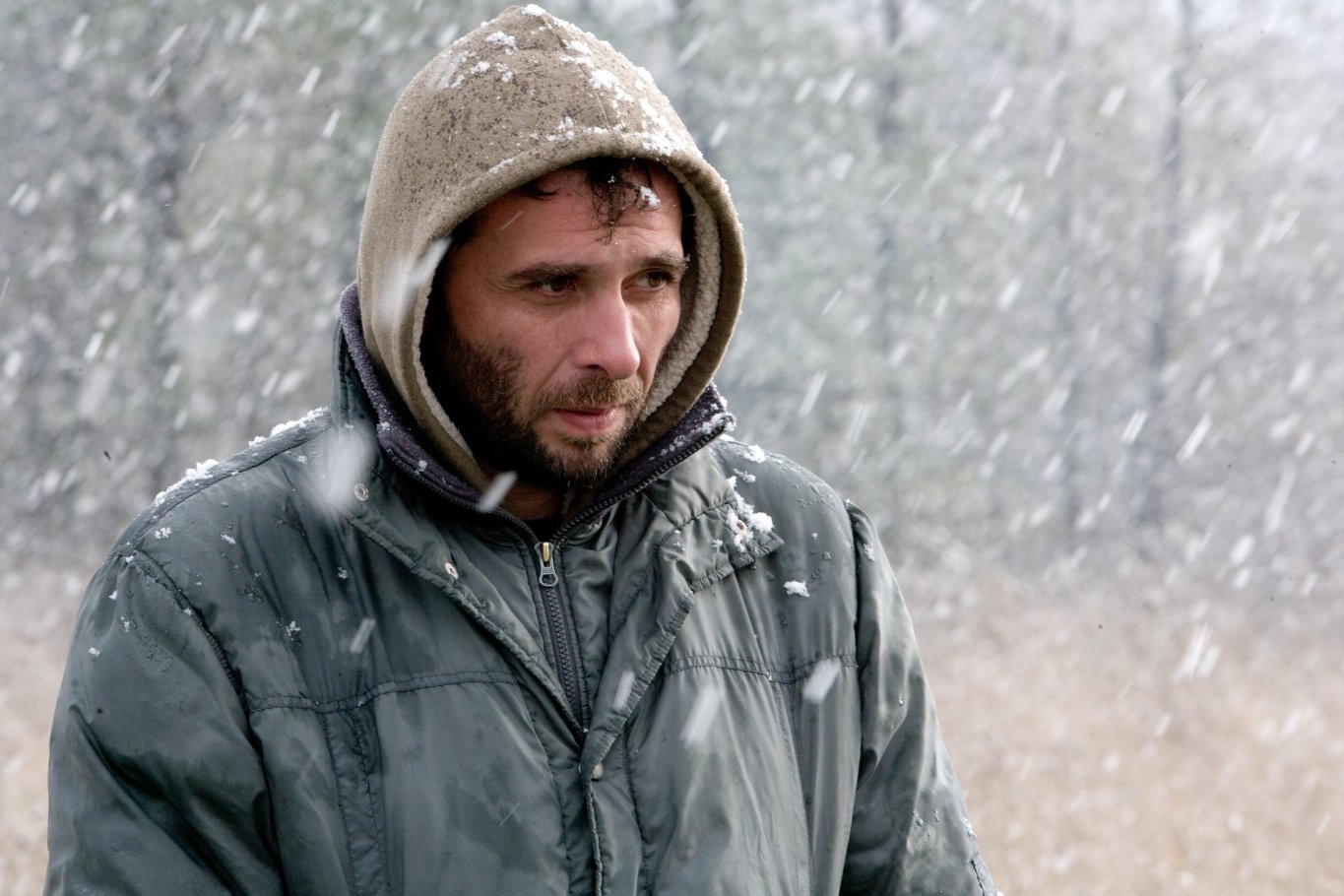 Фото - Охотник: 1365x910 / 172 Кб