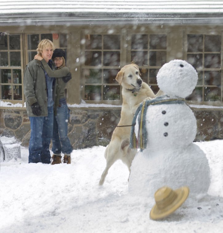 Фото - Марли и я: 725x758 / 92 Кб