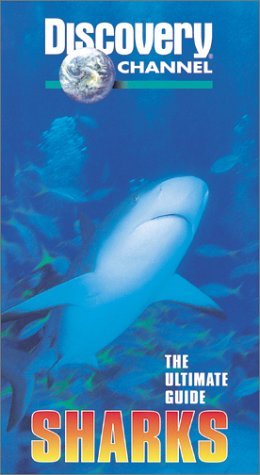 Фото - The Ultimate Guide: Sharks: 260x475 / 27 Кб