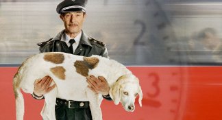 Фото - О' Хортен: 324x175 / 13 Кб