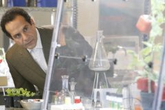 Фото - Дефективный детектив : 240x160 / 11 Кб