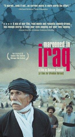 Фото - Заблудившийся в Ираке: 260x475 / 33 Кб