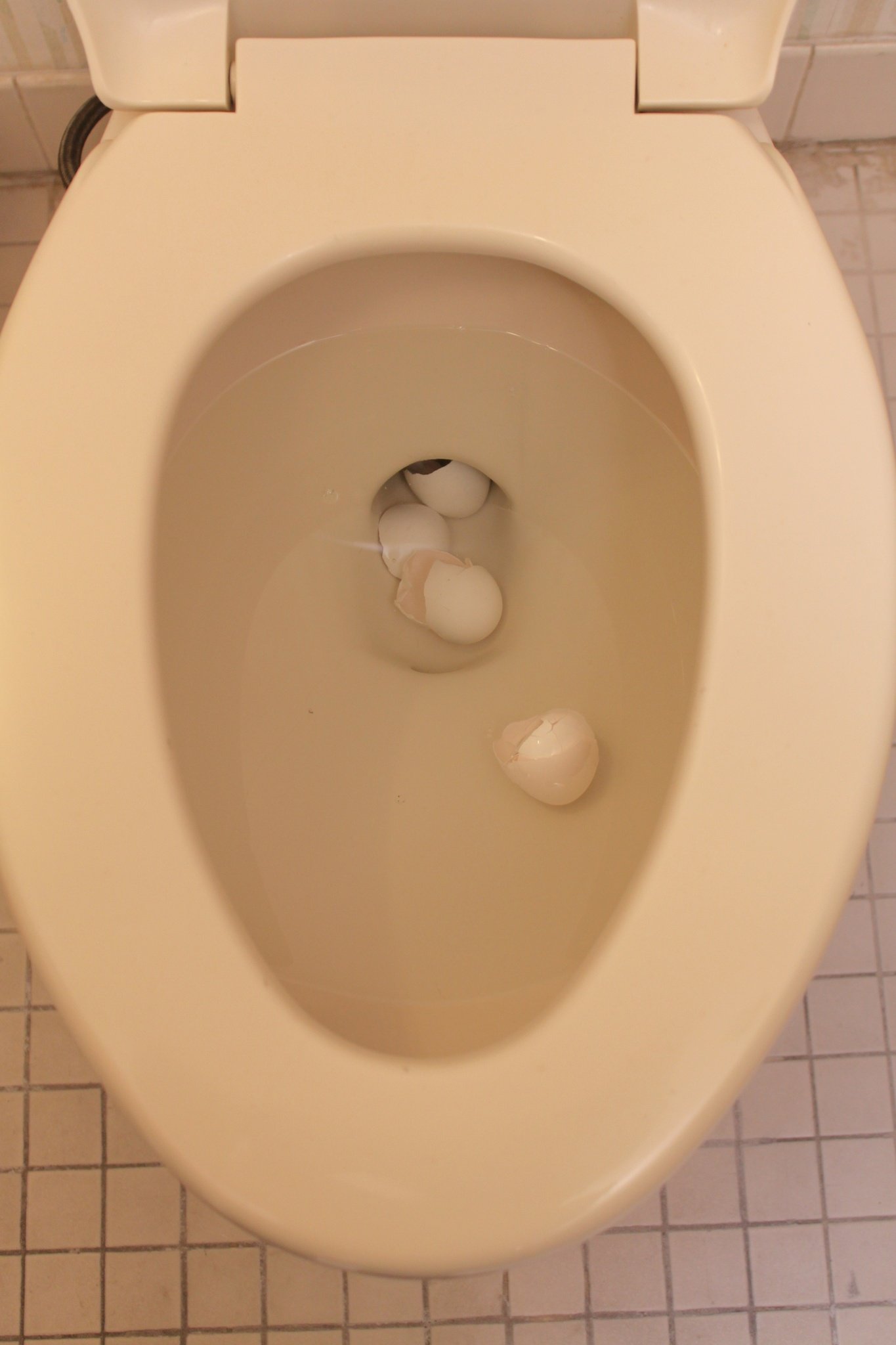 Фото - The Oregonian: 1365x2048 / 151 Кб