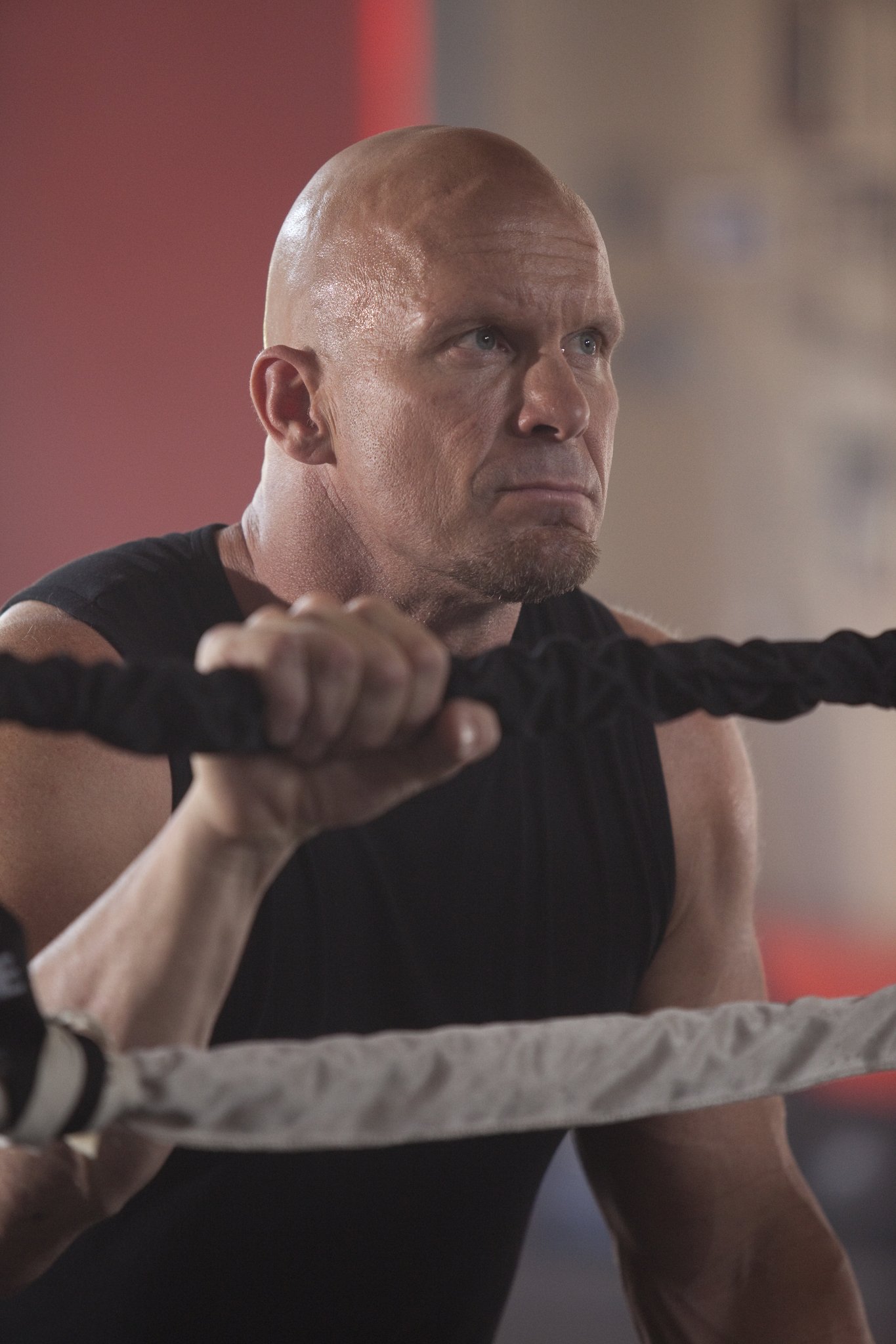 Фото - Knockout: 1365x2048 / 291 Кб