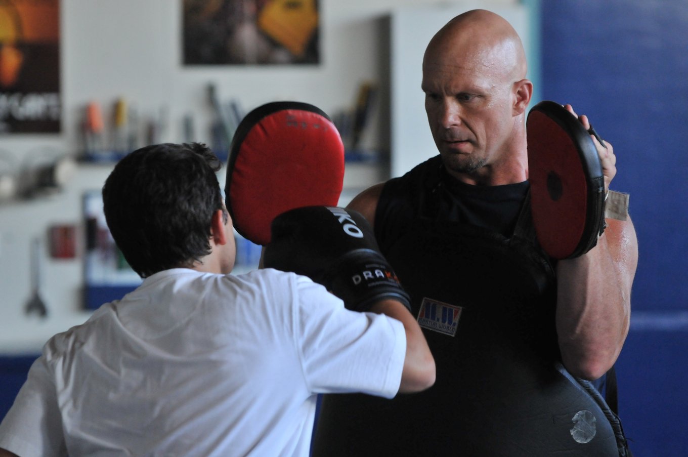 Фото - Knockout: 1360x903 / 118 Кб