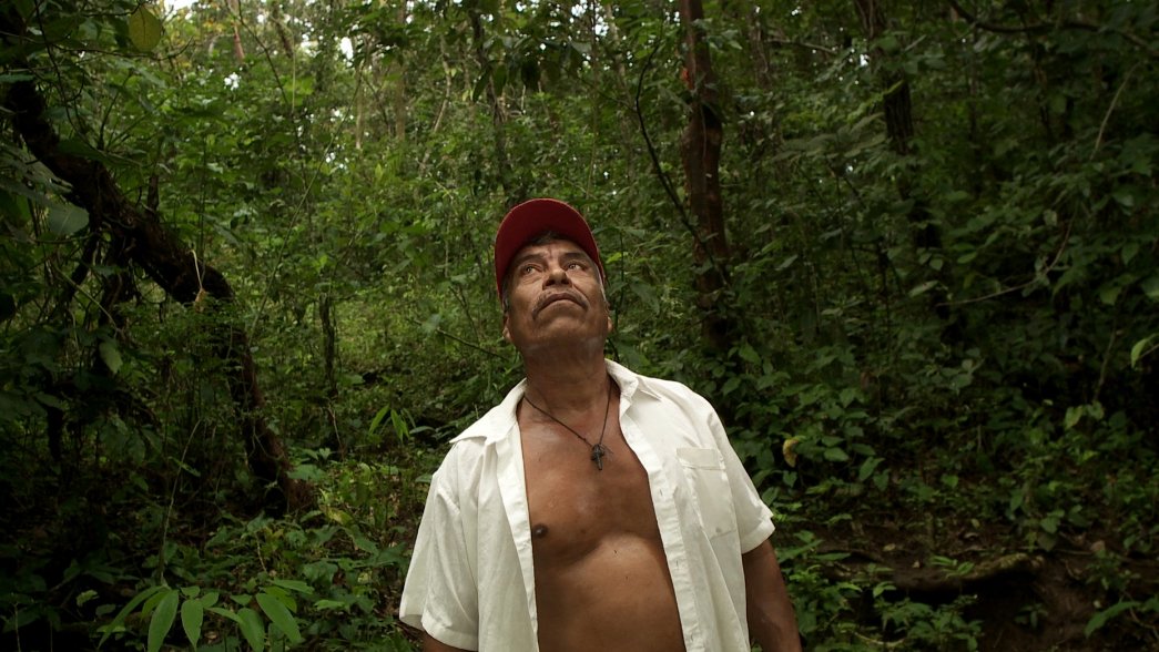 Фото - Paraísos artificiales: 1045x588 / 144 Кб