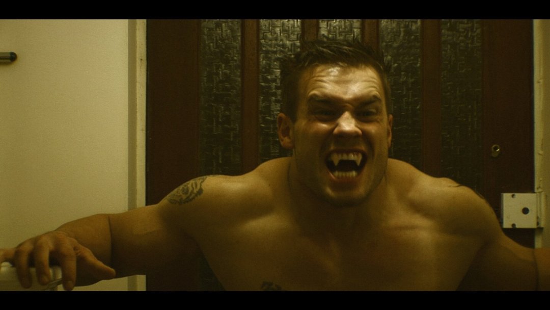 Фото - Vampires: Brighter in Darkness: 1080x608 / 70 Кб