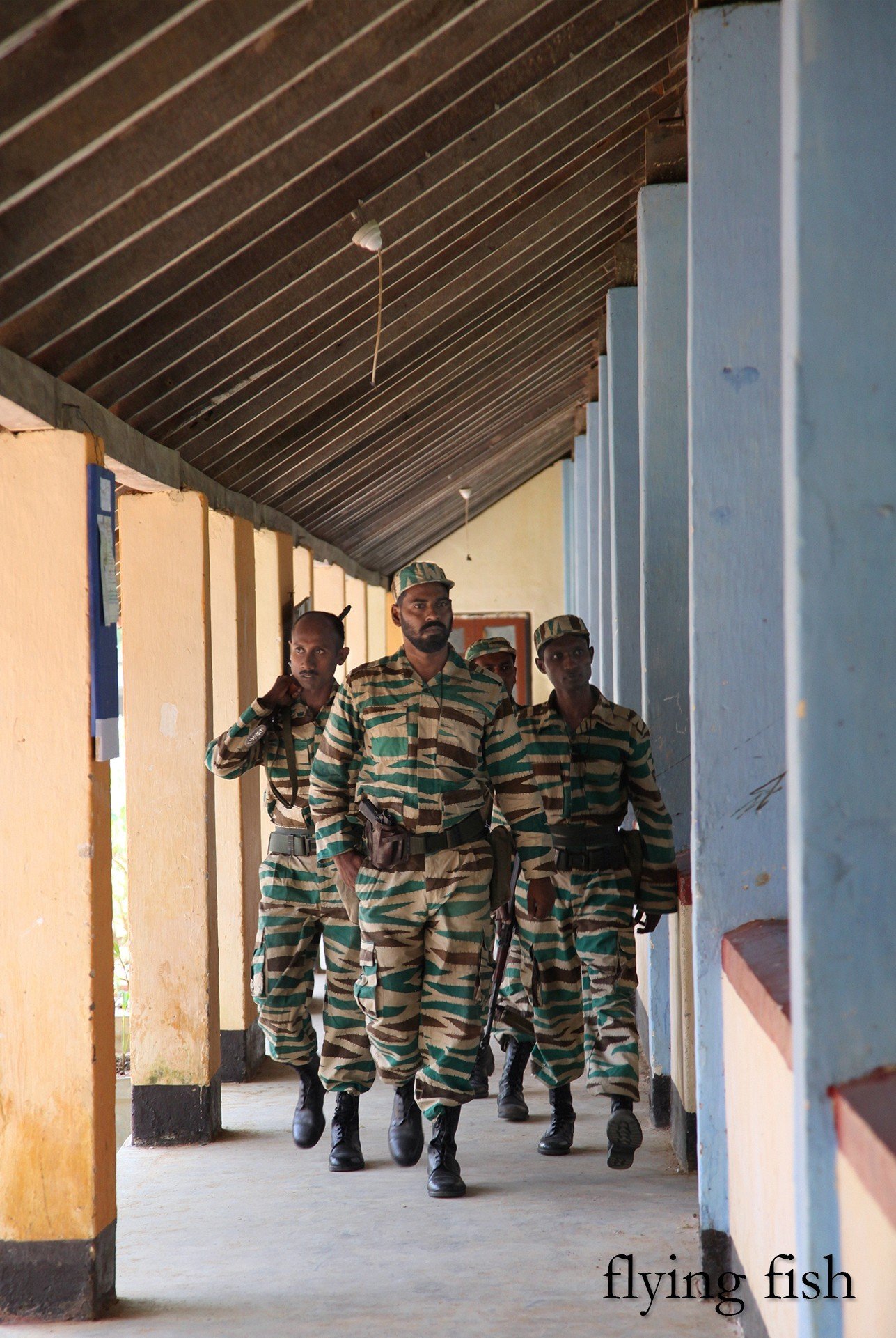 Фото - Летающая рыба: 1287x1921 / 477 Кб