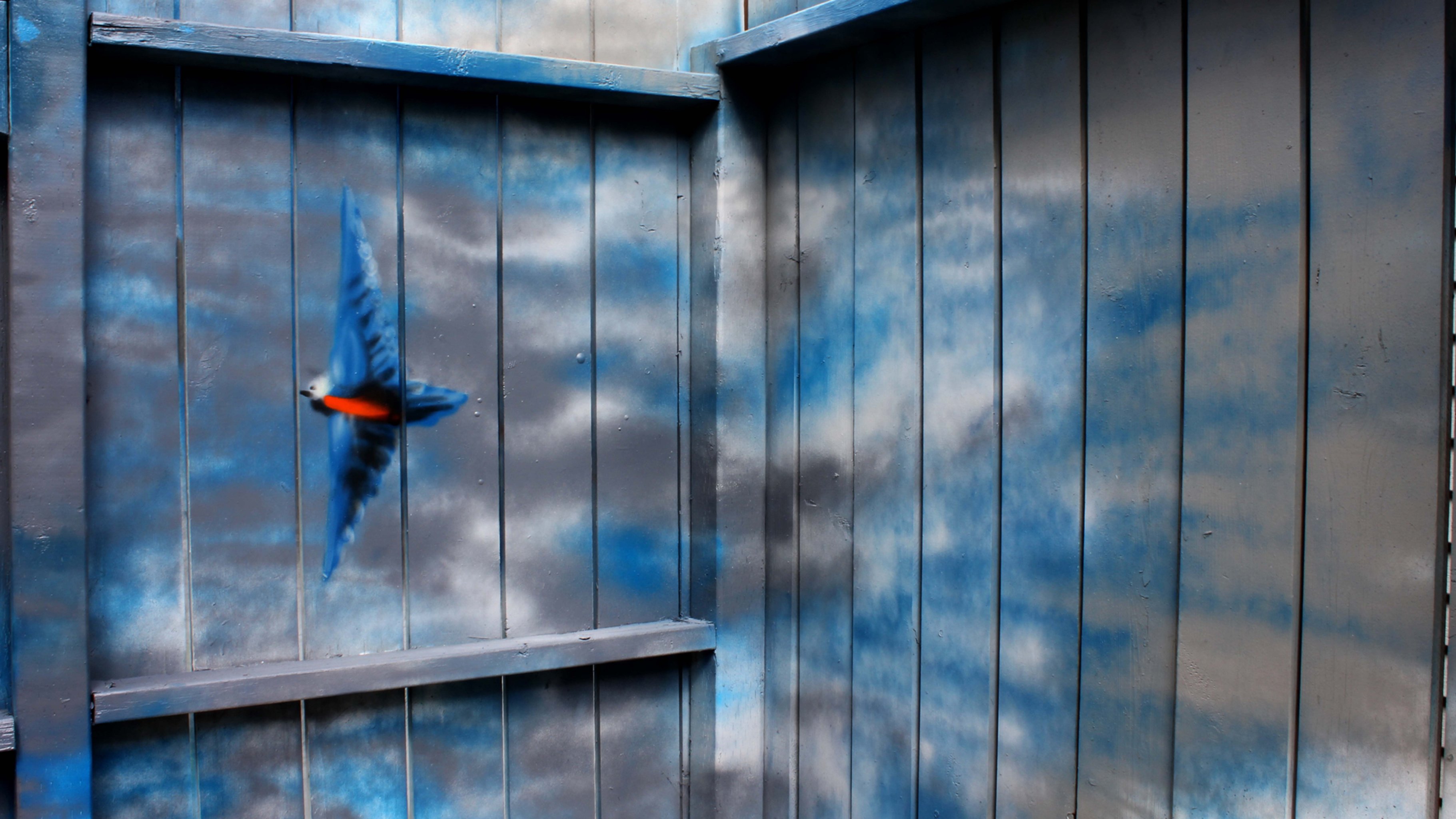 Фото - Spirit of the Bluebird: 3641x2048 / 698 Кб