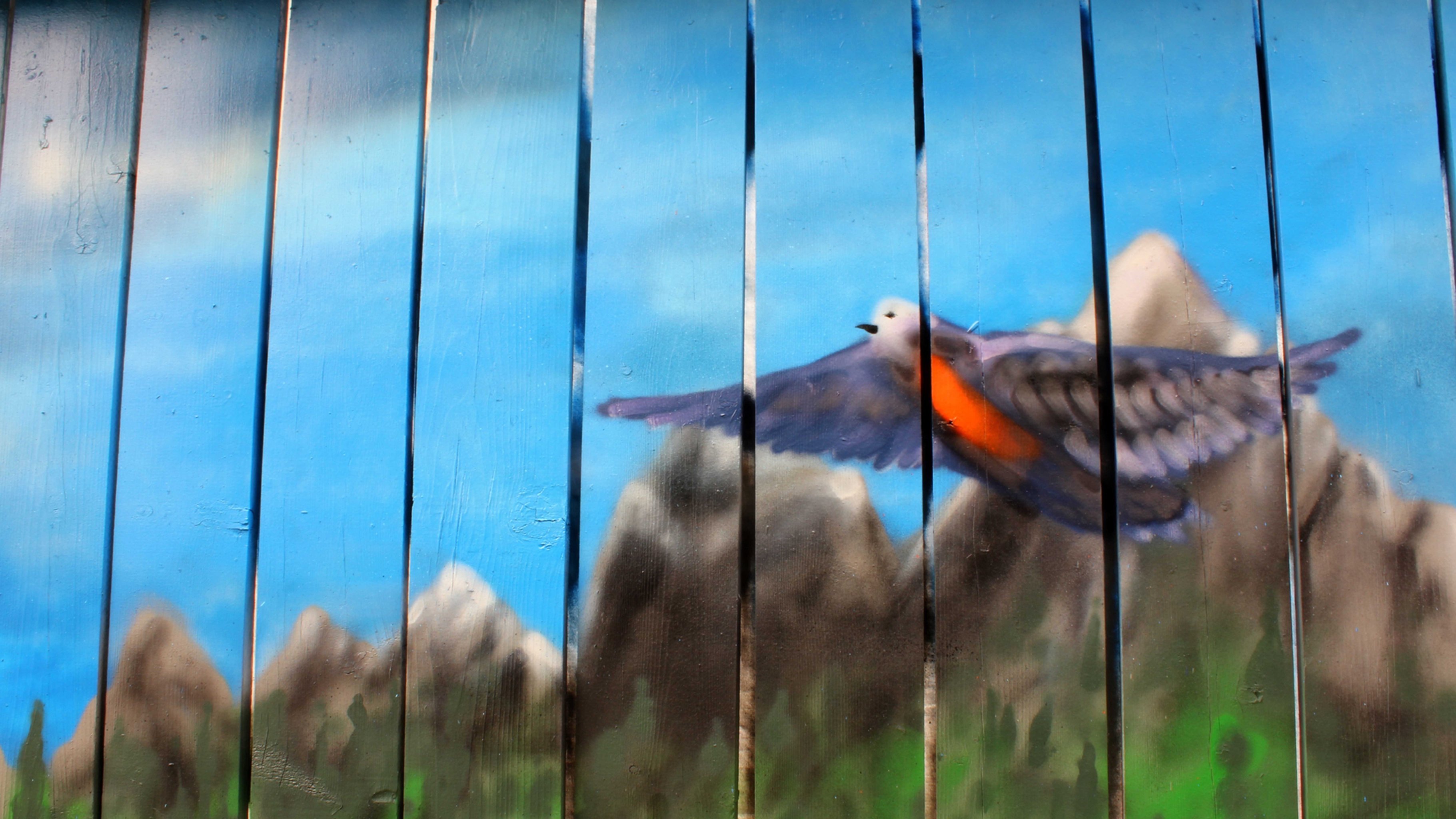 Фото - Spirit of the Bluebird: 3641x2048 / 768 Кб