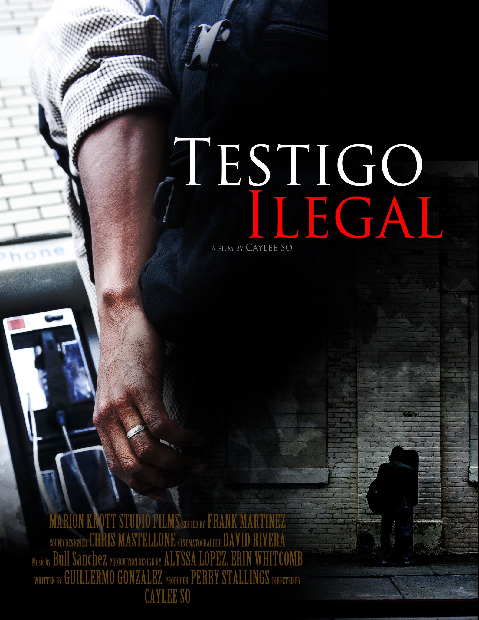 Фото - Testigo Ilegal: 1583x2048 / 460 Кб