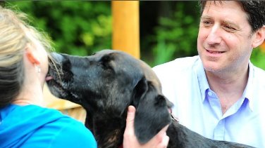 Фото - Sweet Tarts Takeaway: 376x211 / 21 Кб