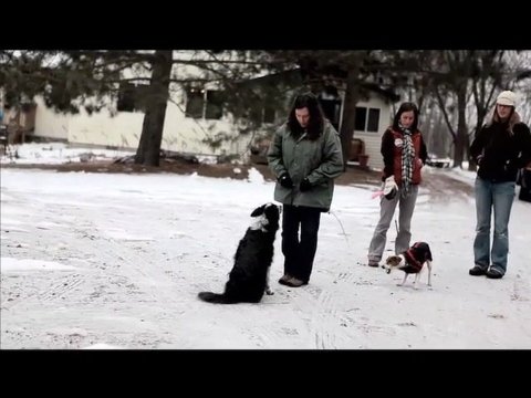 Фото - The Three Hikers: 480x360 / 35 Кб
