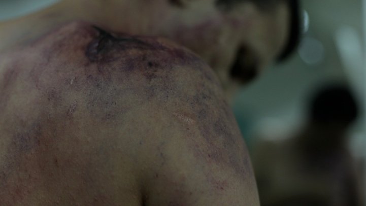 Фото - Halley: 721x406 / 26 Кб