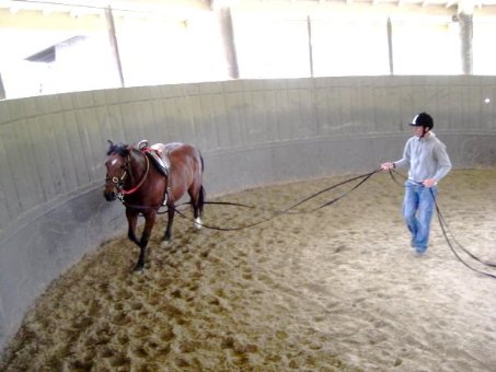 Фото - Tucker's Luck Documentary: 453x340 / 31 Кб