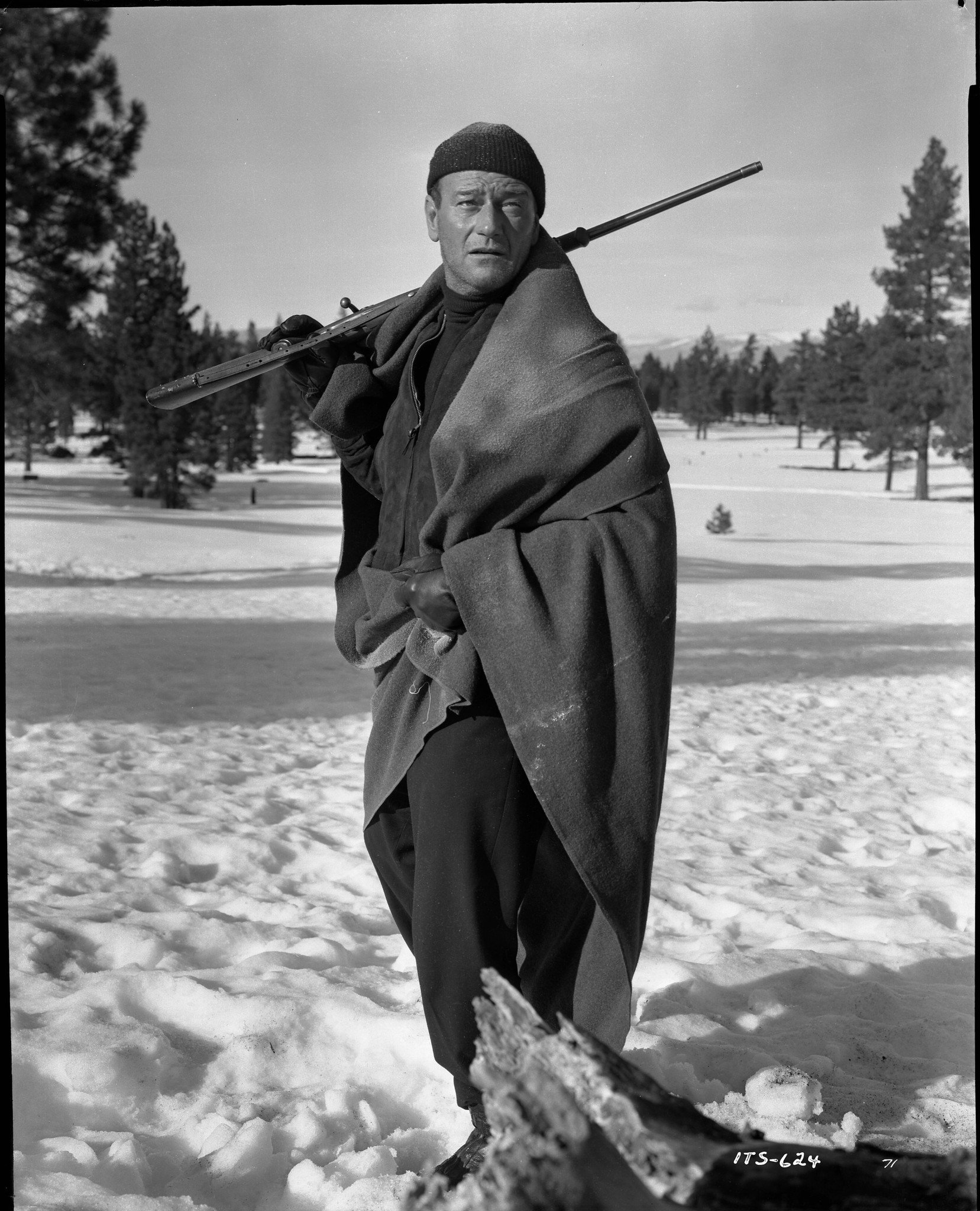 Фото - Небесный остров: 1657x2048 / 608 Кб