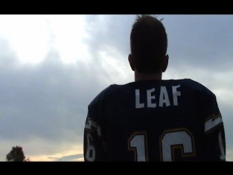 Фото - Leaf: 338x254 / 11 Кб