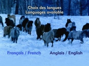 Фото - Чамане: 350x258 / 24 Кб