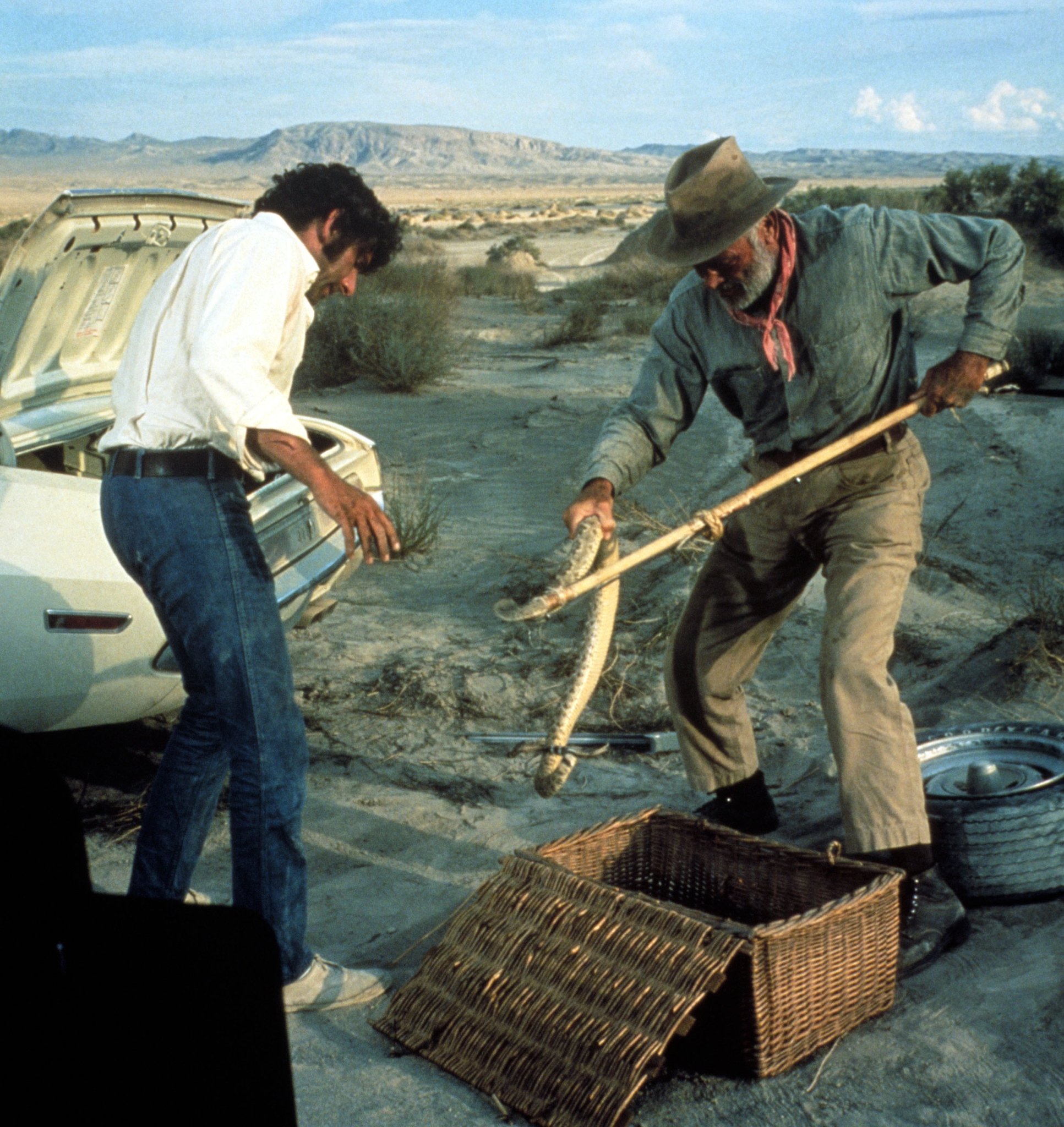 Фото - Исчезающая точка: 1933x2048 / 627 Кб