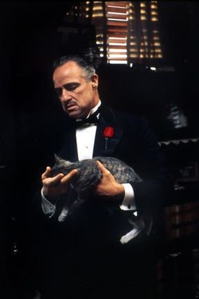 Фото - Крестный отец: 288x432 / 14 Кб