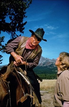 Фото - Рустер Когберн: 292x450 / 36 Кб