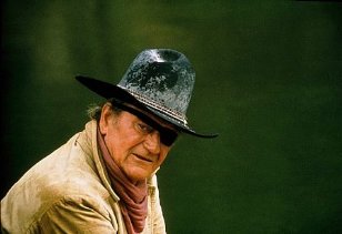 Фото - Рустер Когберн: 308x211 / 13 Кб