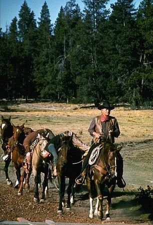 Фото - Рустер Когберн: 306x450 / 50 Кб