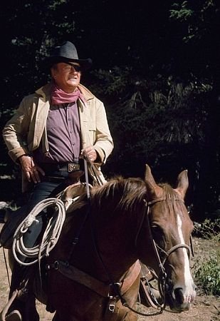 Фото - Рустер Когберн: 309x450 / 36 Кб