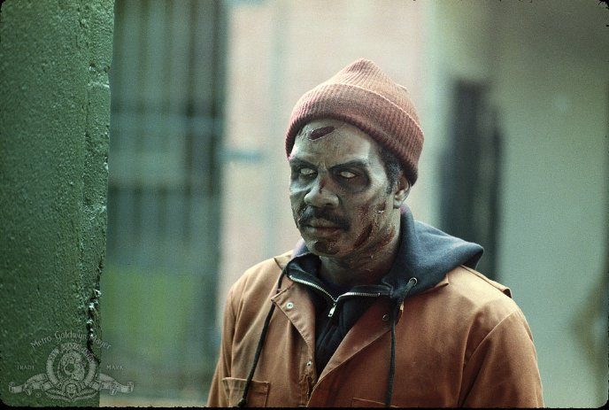 Фото - Ночь кометы: 688x463 / 65 Кб