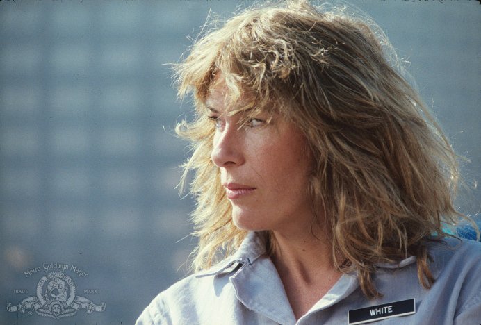 Фото - Ночь кометы: 692x468 / 64 Кб