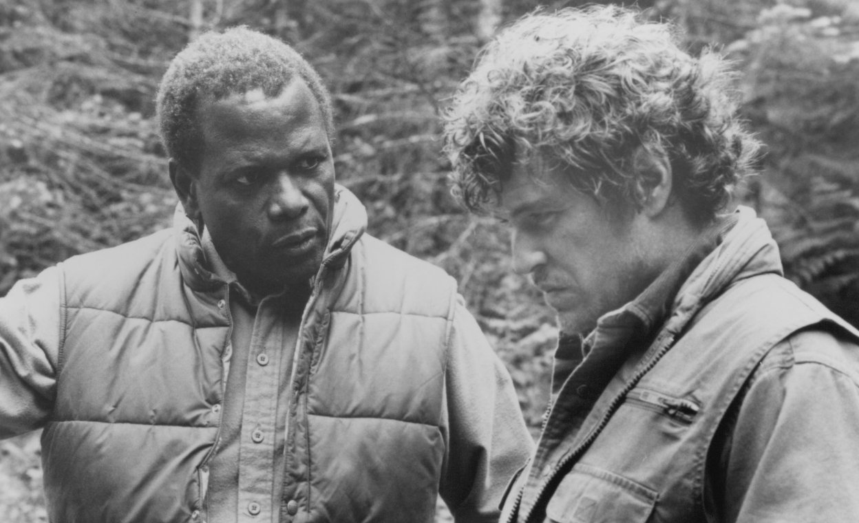 Фото - Огонь на поражение: 1248x760 / 144 Кб